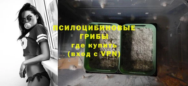 PSILOCYBIN Приозерск