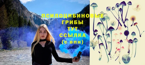 мдма Протвино