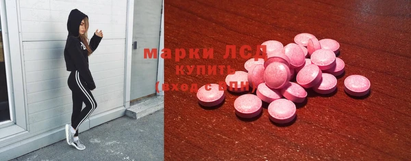 СК Покров