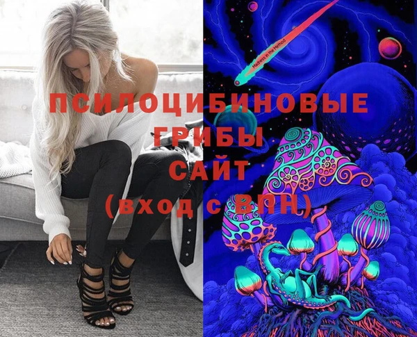 PSILOCYBIN Приозерск