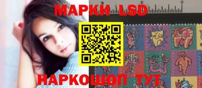 стафф Бийск