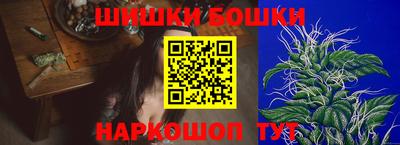 стафф Бийск
