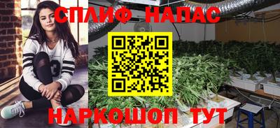 стафф Бийск
