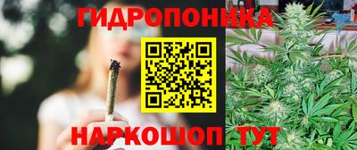 стафф Бийск