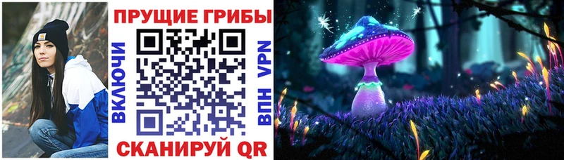 Псилоцибиновые грибы Magic Shrooms Кольчугино