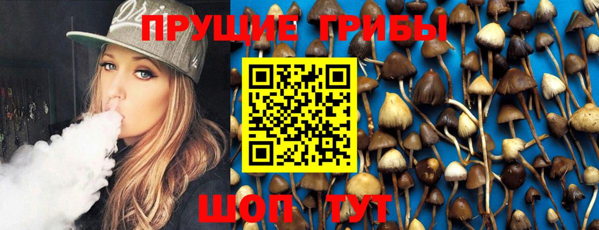 Галлюциногенные грибы Psilocybe  Кольчугино 