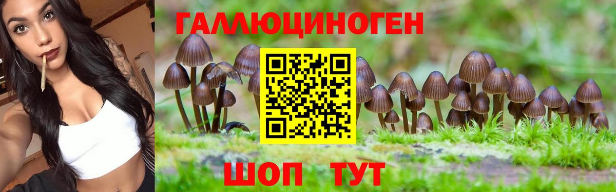 Псилоцибиновые грибы ЛСД Кольчугино